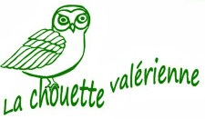 vignette-copie-copie