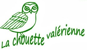 vignette-copie-copie