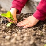 Fotolia_82551245_XS-2-2